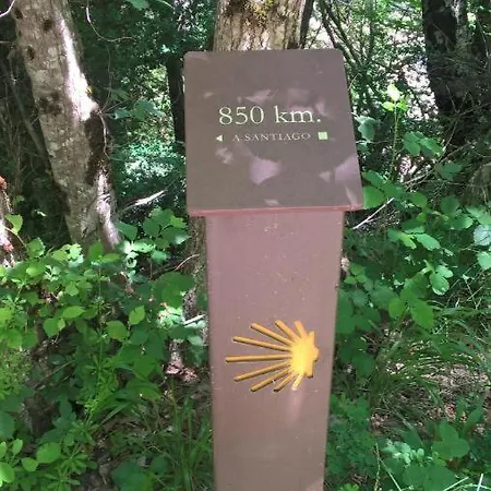 Acogedor Y Cálido Con Vistas A La Montaña Appartamento *